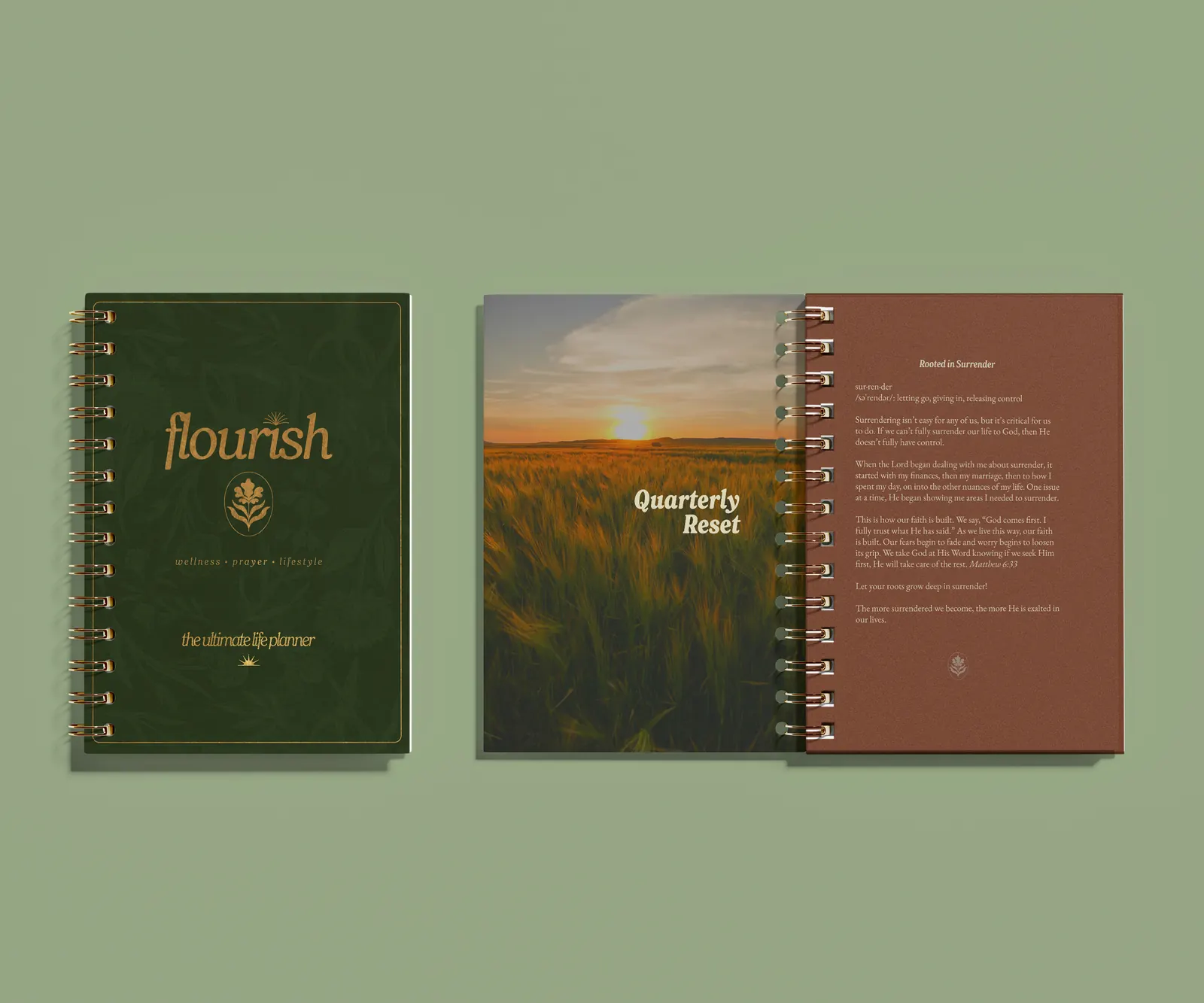 Flourish open to the Quarterly Reset page